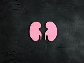 猪肾移植患者47后不得已摘除猪肾 因血压不足 与移植肾本身无关