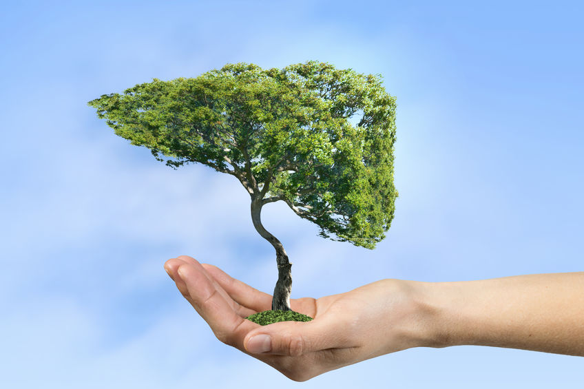 一项关于达格列净对代谢功能障碍相关脂肪性肝炎影响的研究