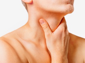 连小兰、刘赫：甲状腺生理学概述