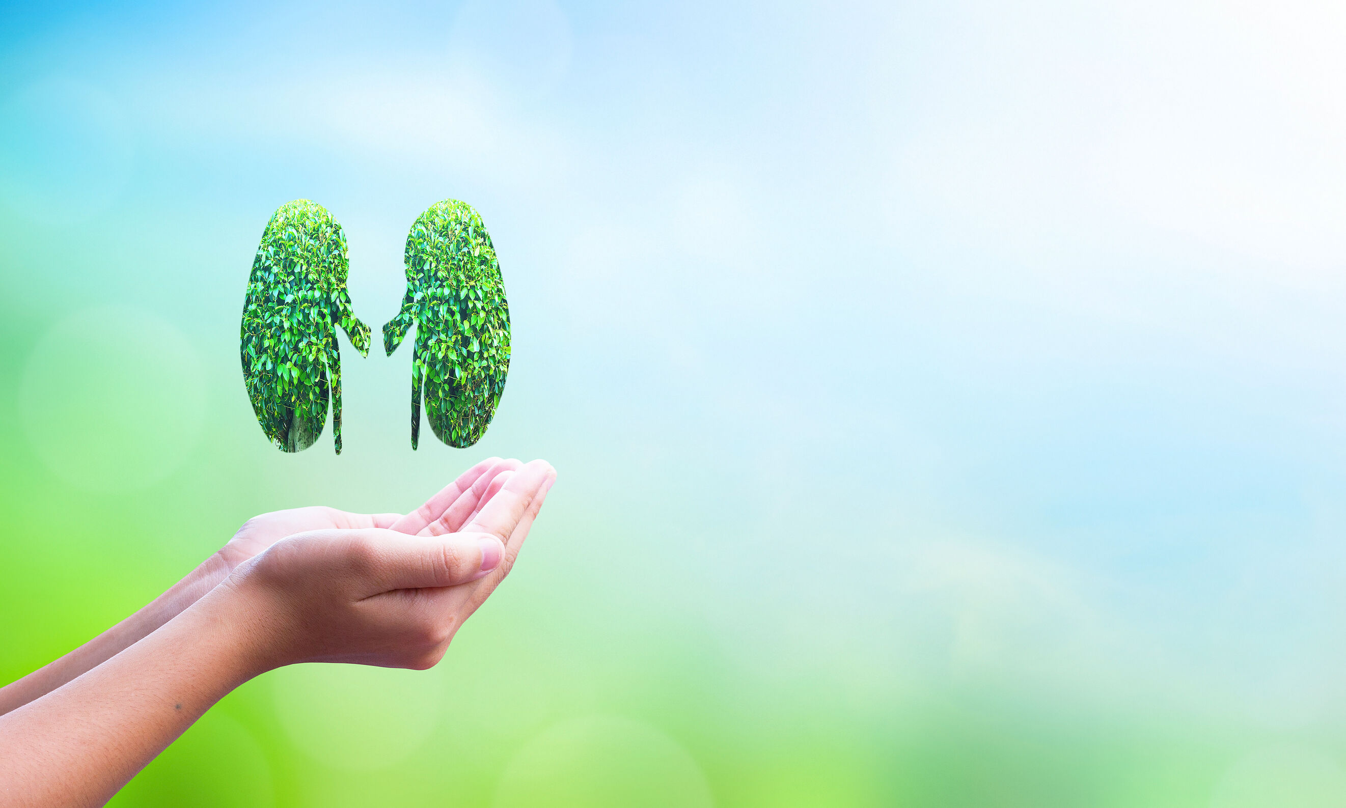 研究突破性发现，非奈利酮对1型糖尿病合并慢性肾脏病患者的蛋白尿有显著降低作用